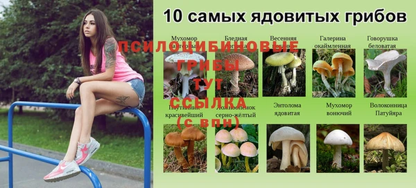 а пвп мука Зеленодольск