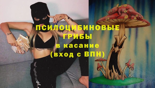 а пвп мука Зеленодольск